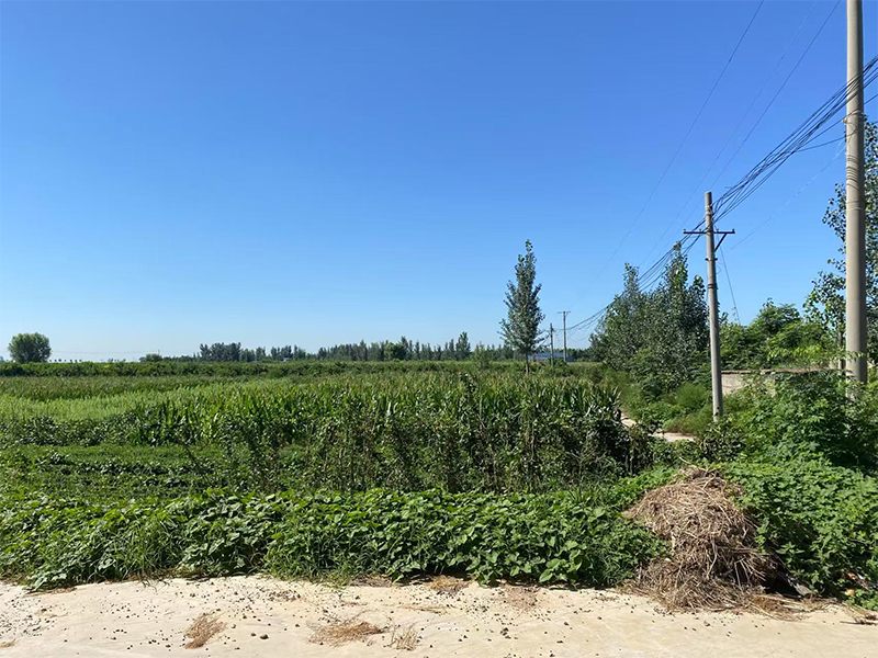 衛(wèi)輝市漳衛(wèi)河“21?7”洪水災后治理良相坡蓄滯洪區(qū)建設項目環(huán)境影響報告表